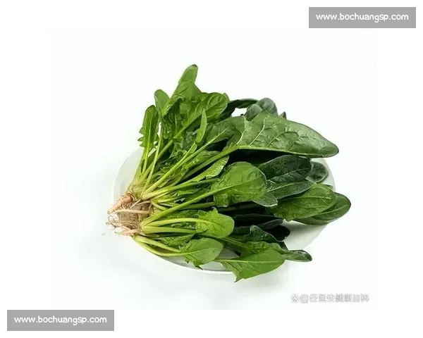 菠菜vs常见绿叶菜营养价值与健康功效全面对比解析科学解读指南